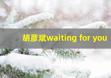 胡彦斌waiting for you